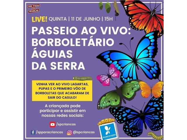 Live: Passeio ao Borboletrio guias da Serra 